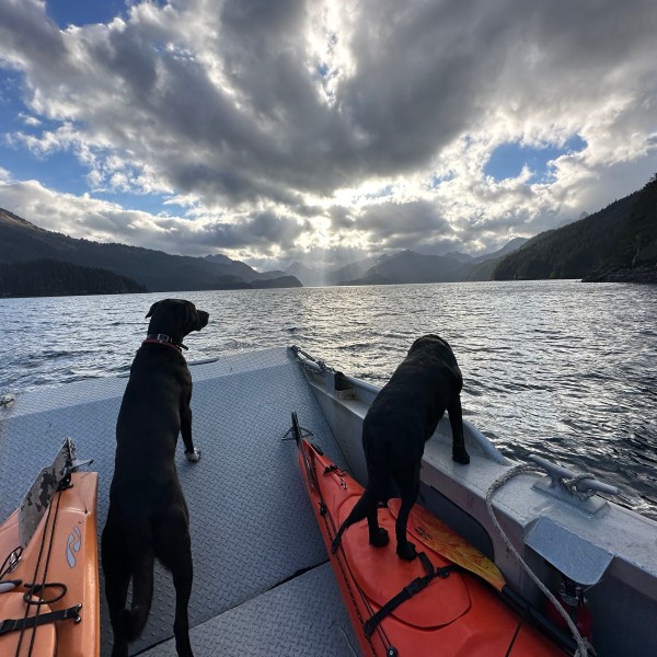 a group of people on a beach with a mountain in the background